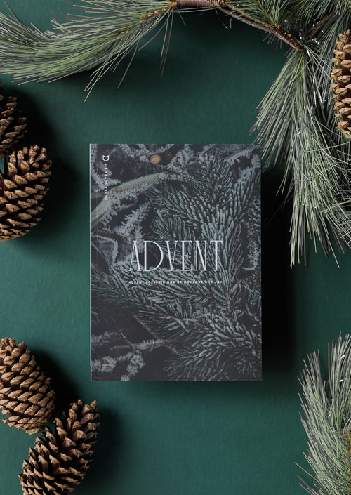 Advent 2025 Men's Reading Guide