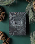 Advent 2025 Men's Reading Guide
