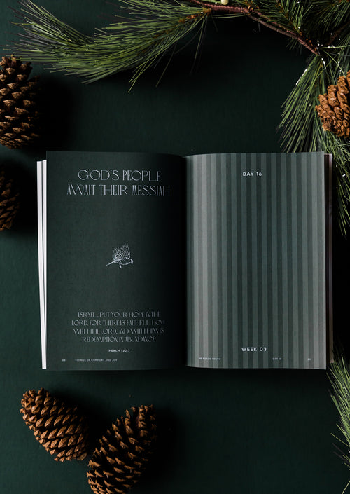 Advent 2025 Men's Reading Guide