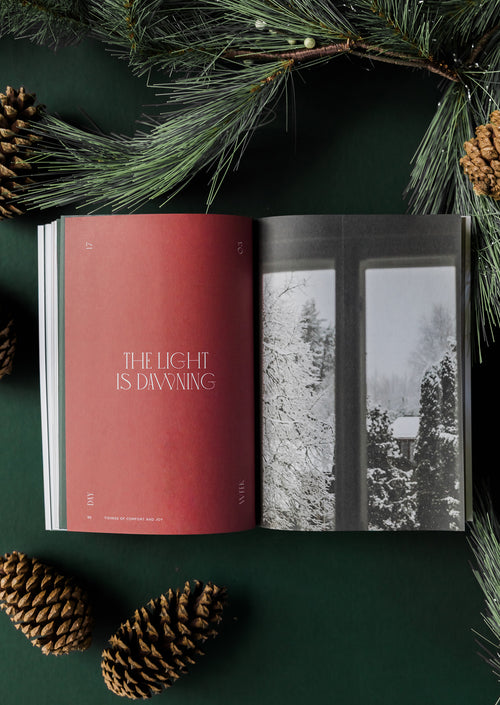 Advent 2025 Men's Reading Guide