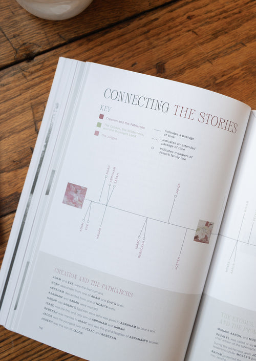 People in the Old Testament Women's and Men's Reading Guide Bundle