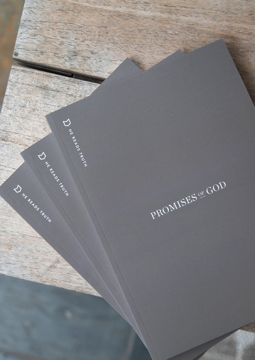 Promises of God Men's Reading Guide