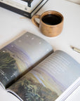 This Is the New Testament Men's Reading Guide