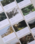 2026 Scripture Calendar Card Set