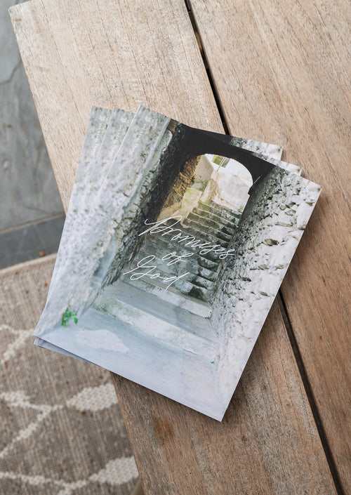 Promises of God women's bible study cover