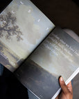 This Is the New Testament Women's Reading Guide
