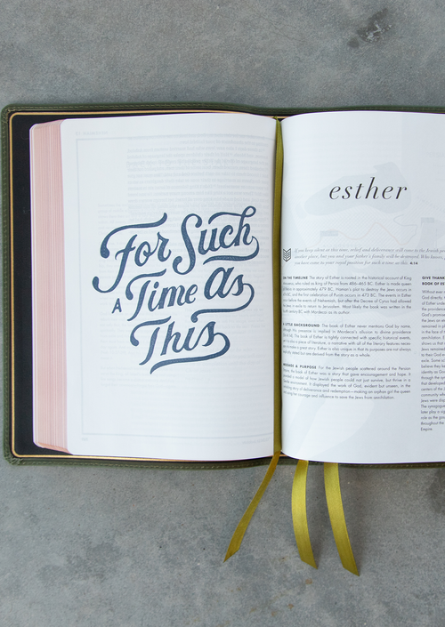 She Reads Truth Bible, Holman Handcrafted Collection, Olive Premium Calfskin