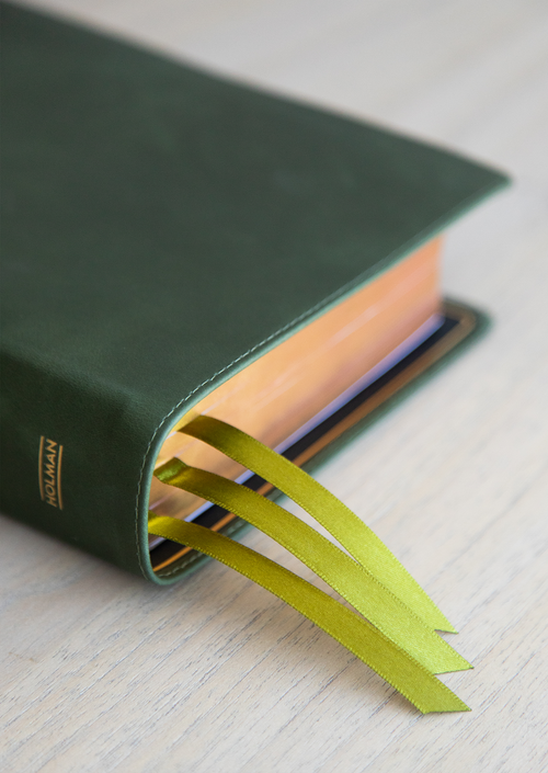 She Reads Truth Bible, Holman Handcrafted Collection, Olive Premium Calfskin