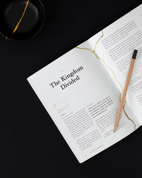 1 & 2 Kings Men's Reading Guide