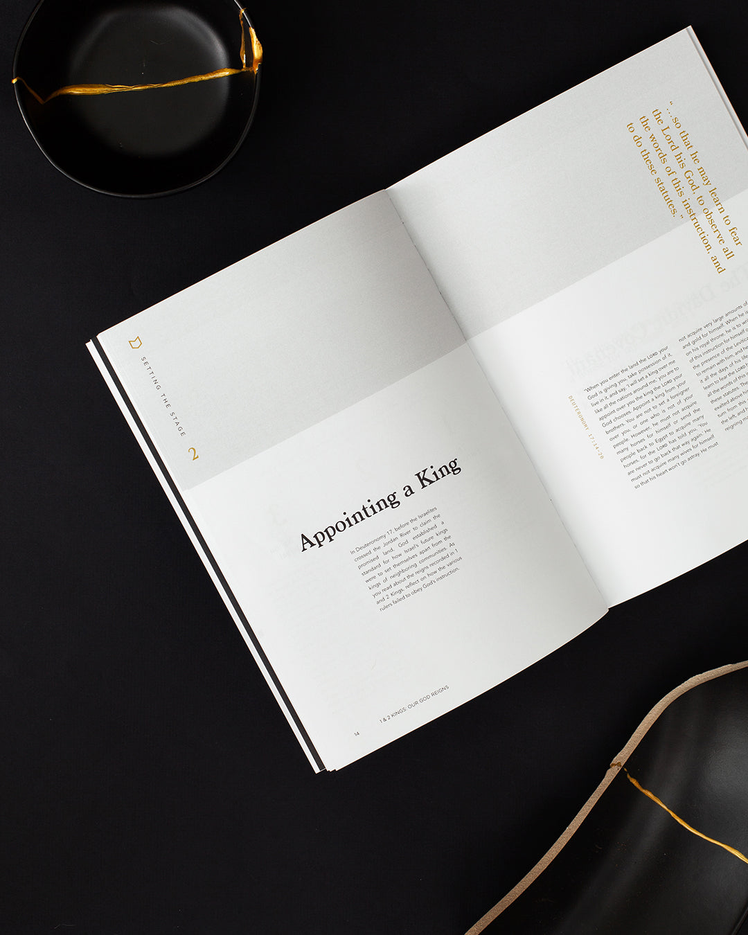 1 & 2 Kings Men's Reading Guide