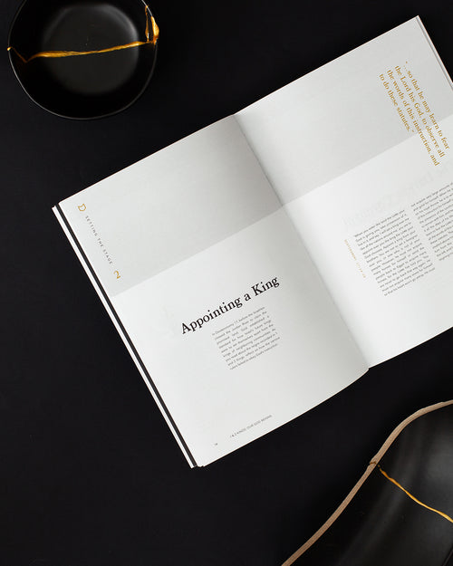 1 & 2 Kings Men's Reading Guide