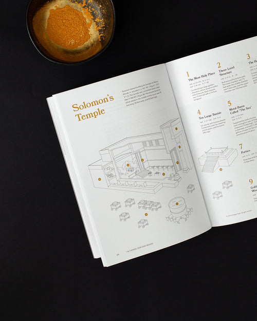 1 & 2 Kings Men's Reading Guide