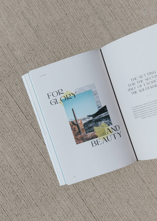 Exodus Men's Reading Guide