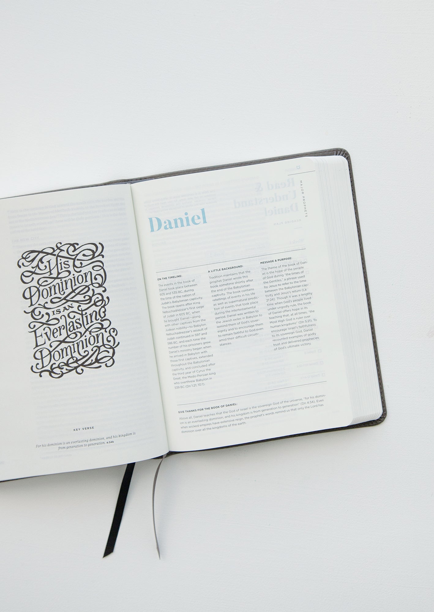 He Reads Truth Bible, Smoke LeatherTouch