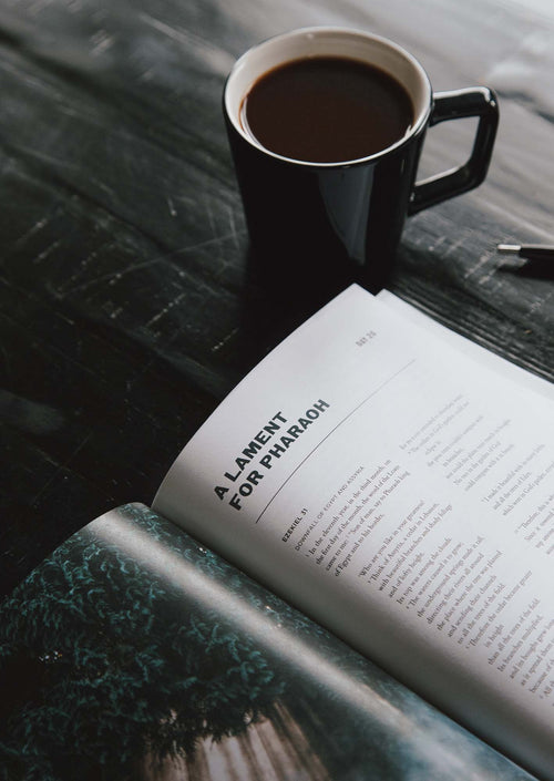 Ezekiel (Lent 2022) Men's Reading Guide