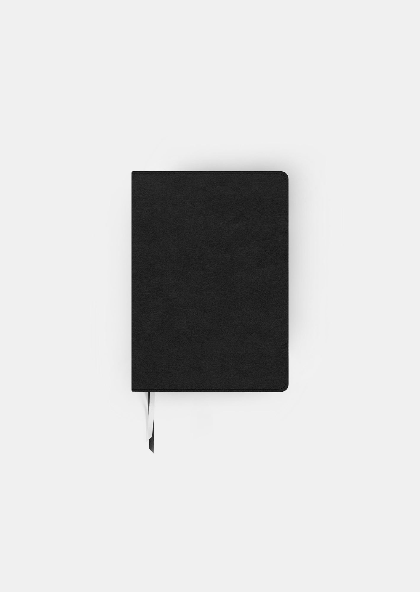 he reads truth bible