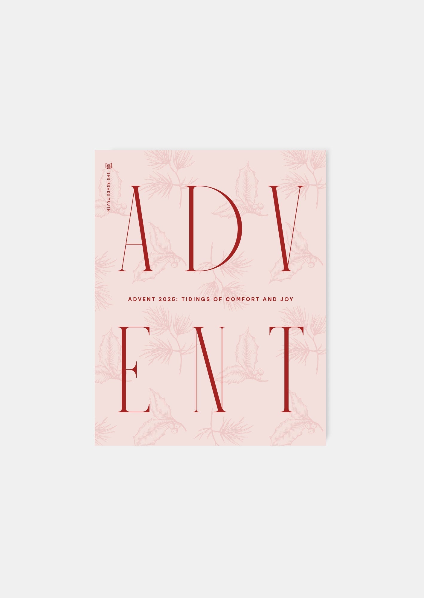 Advent 2025: Tidings of Comfort and Joy