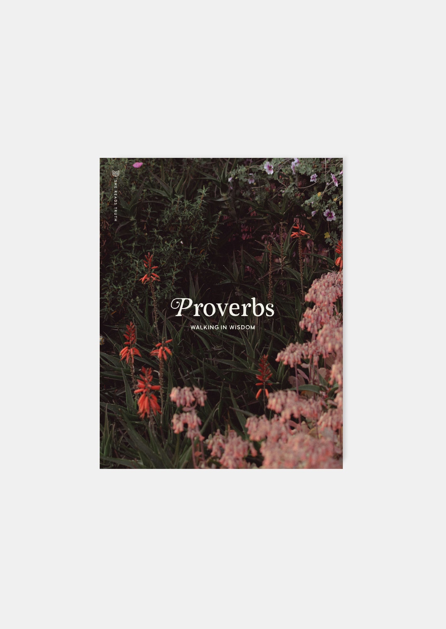 Proverbs: Walking in Wisdom