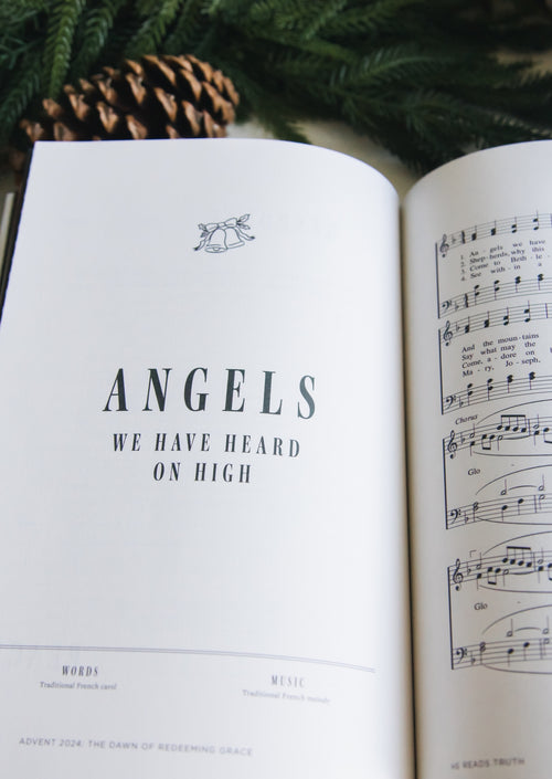Advent 2024 Men's Reading Guide