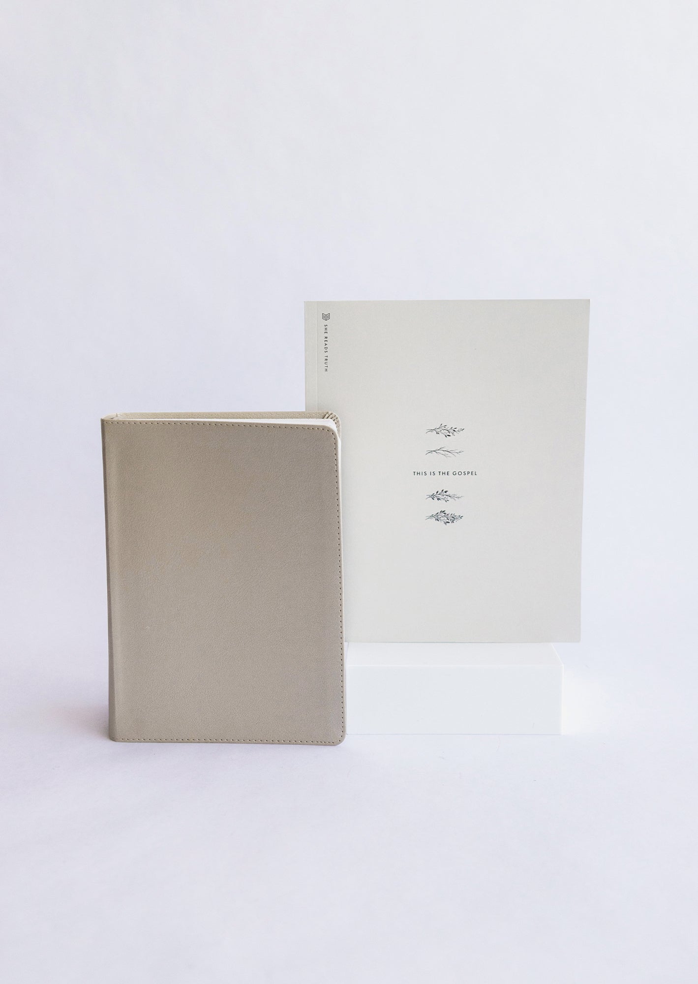 She Reads Truth Starter Bundle
