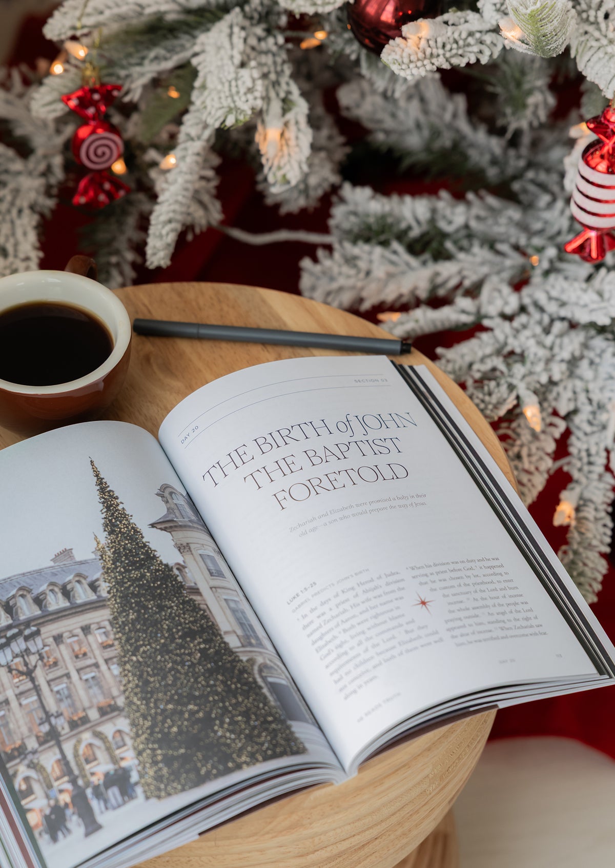 Advent 2026 Men's Reading Guide