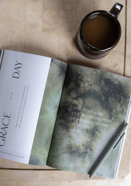 The Beatitudes Men's Reading Guide