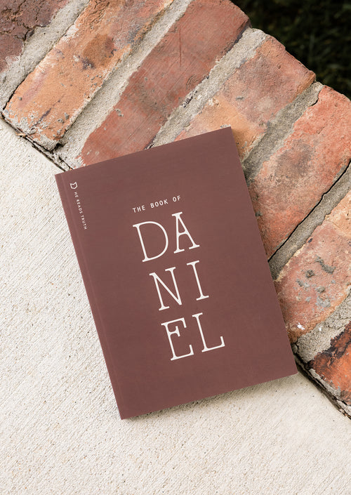 Daniel Men's Reading Guide