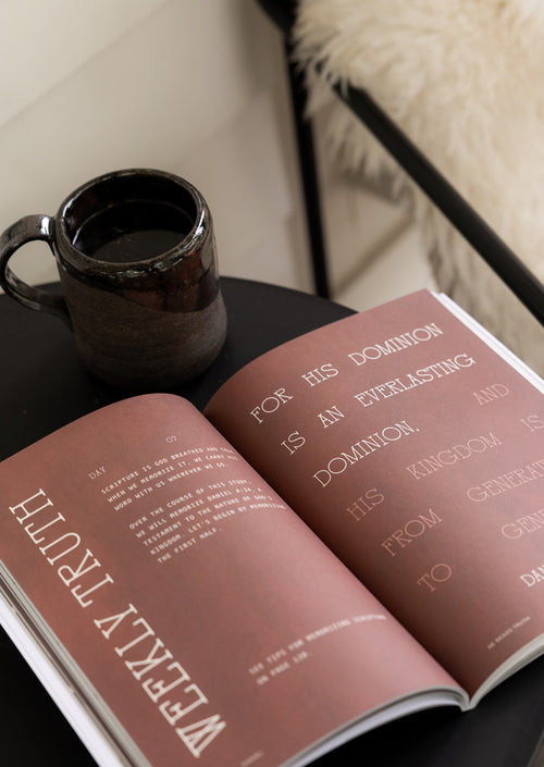 Daniel Men's Reading Guide