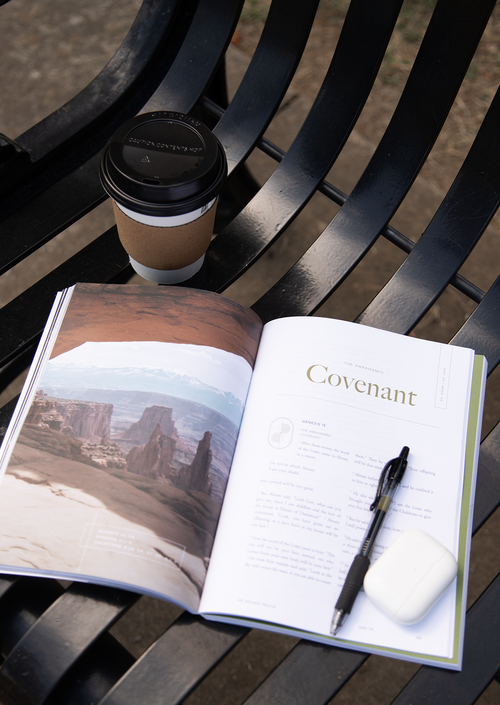 Genesis Men's Reading Guide