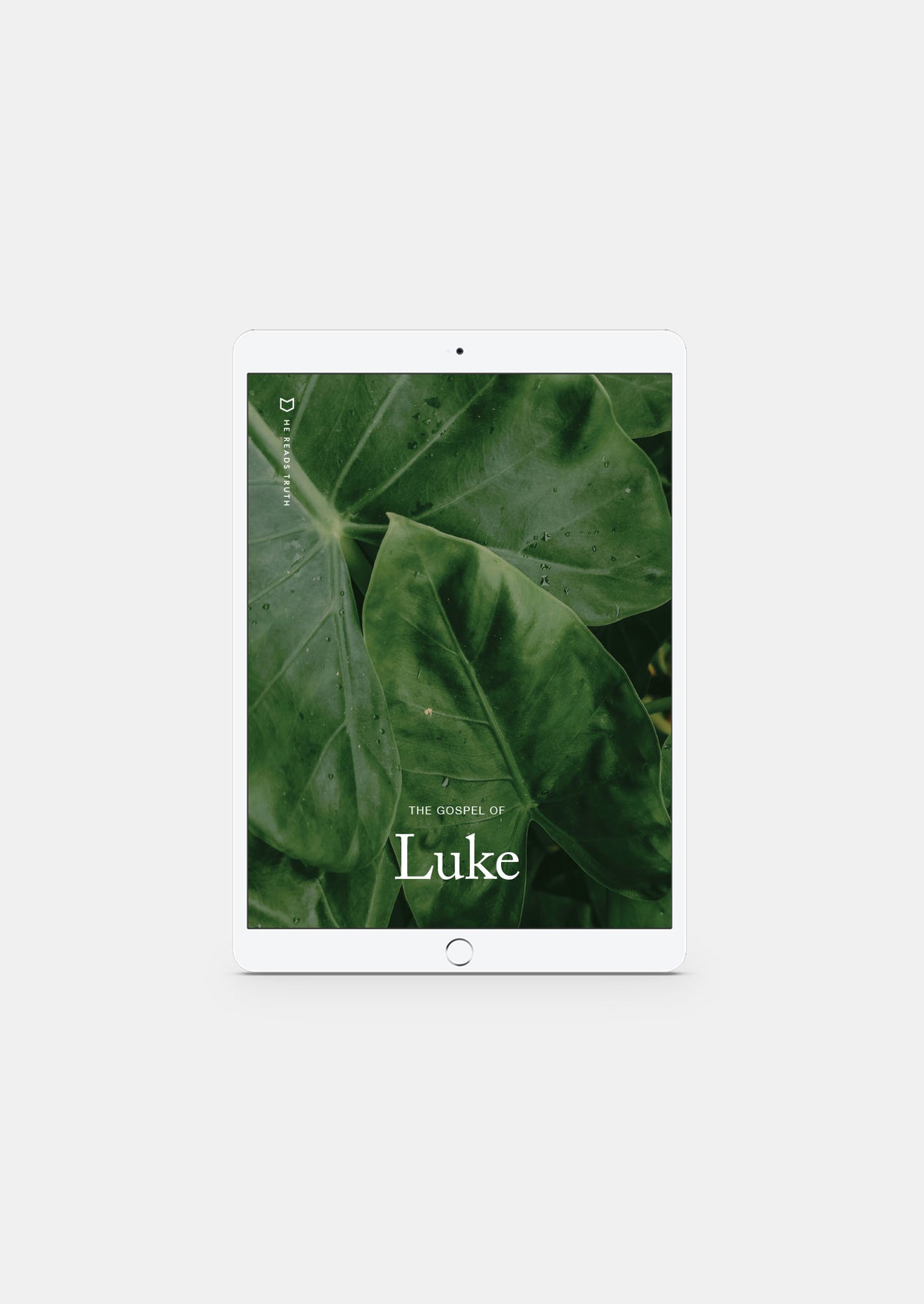 Luke Men's Reading Guide (DIGITAL)
