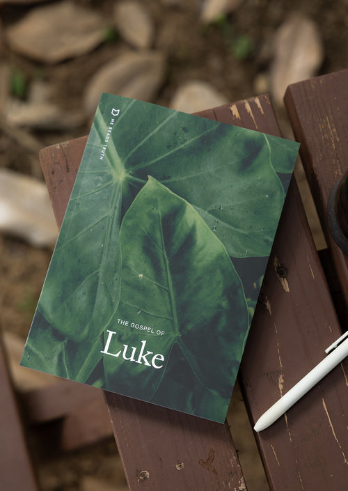 Luke Men's Reading Guide