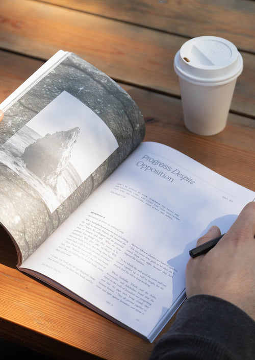Nehemiah: Rebuild and Renew Men's Reading Guide