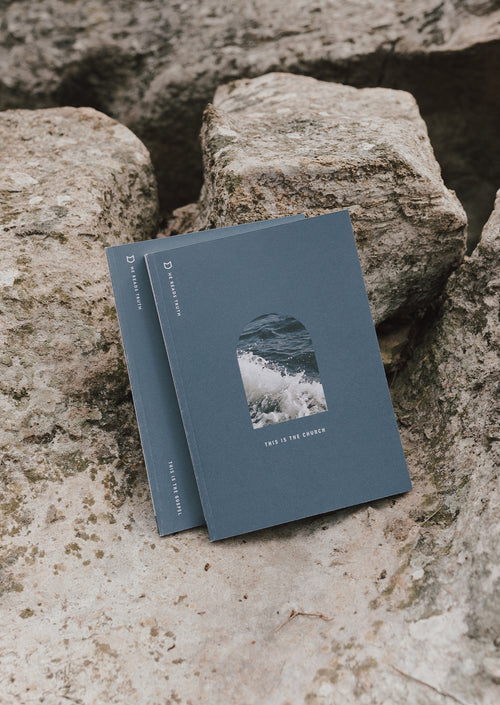 This Is the Church + This Is the Gospel Men's Reading Guide Bundle