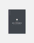 This Is the New Testament Men's Reading Guide