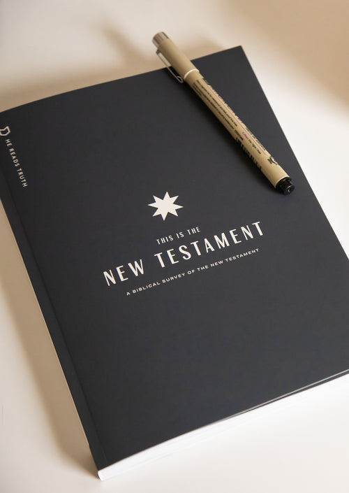 This Is the New Testament Men's Reading Guide