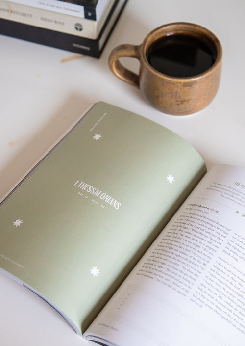 This Is the New Testament Men's Reading Guide