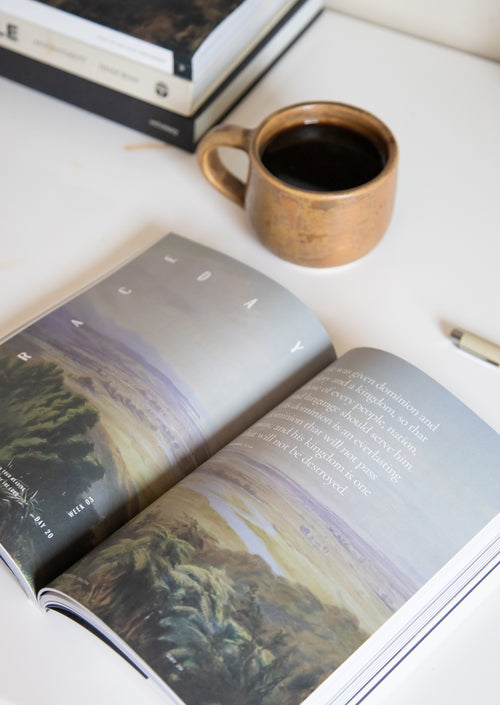This Is the New Testament Men's Reading Guide