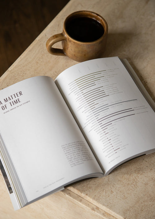 This Is the Old Testament Men's Reading Guide