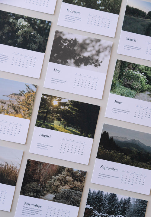 2026 Scripture Calendar Card Set