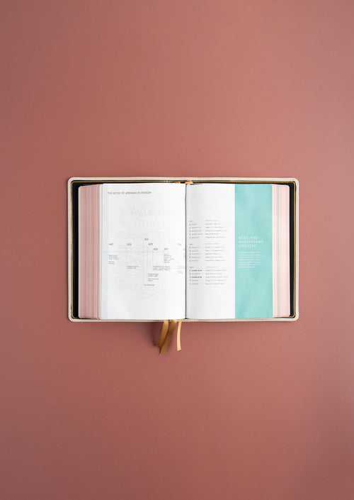 She Reads Truth Bible, Holman Handcrafted Collection, Blonde Premium Calfskin