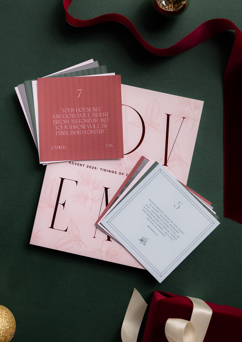 Advent 2025 She Reads Truth Bundle