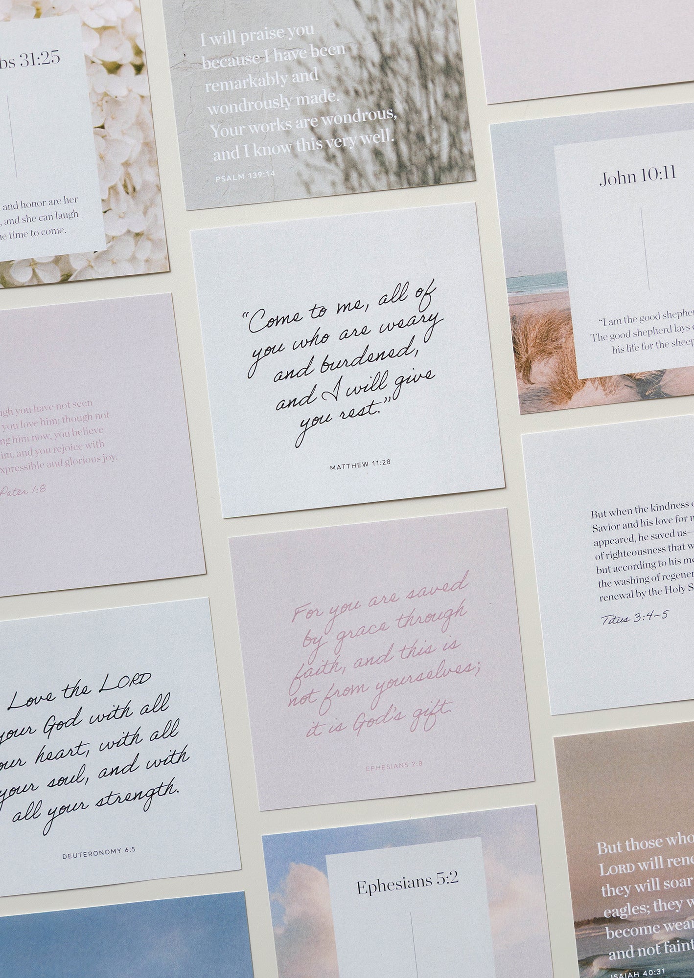 Scripture Card Set Scripture Card Sets – She Reads Truth