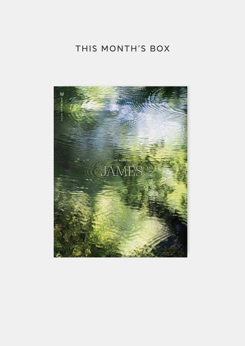 Monthly Subscription Box