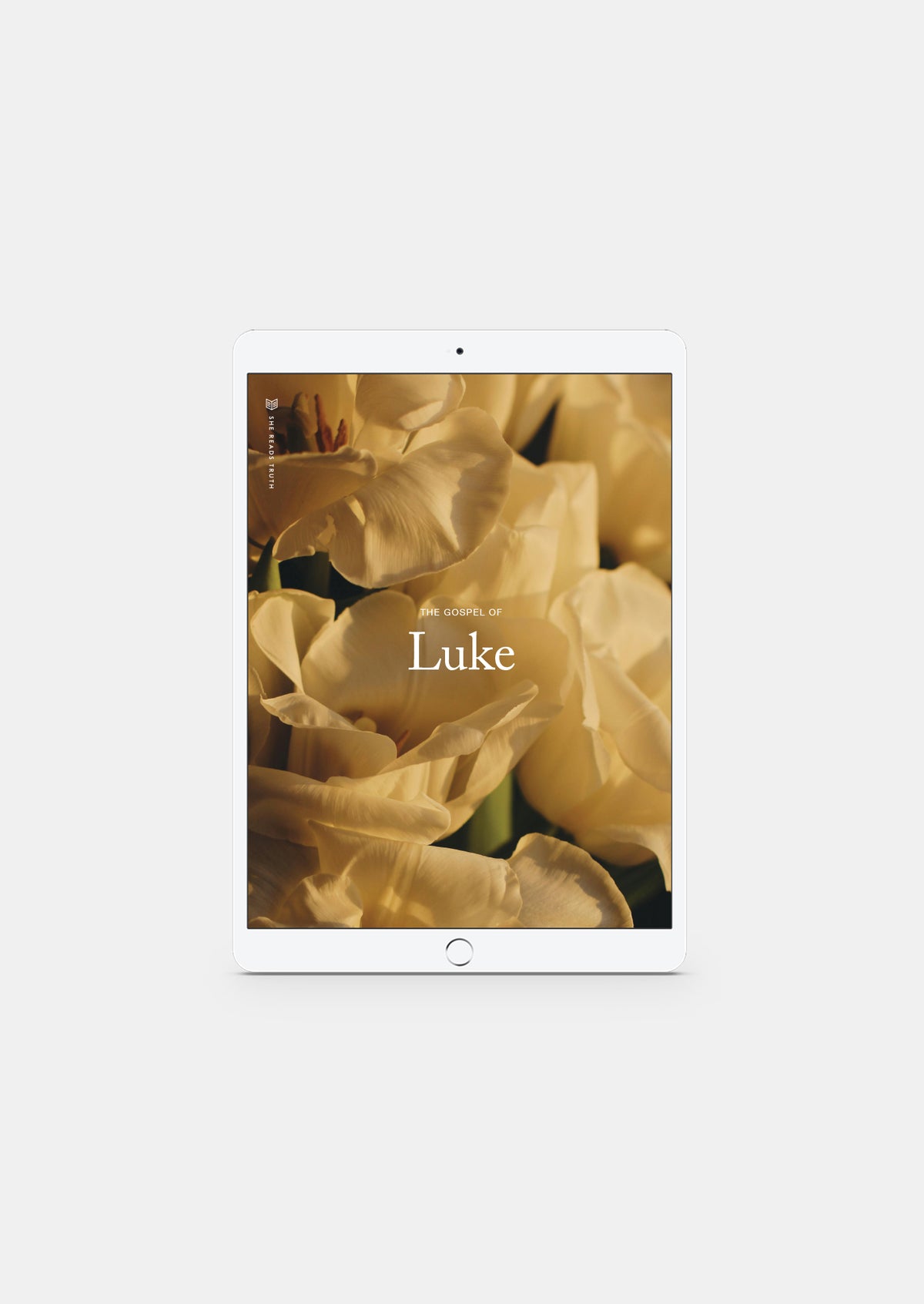 Luke Women's Reading Guide (DIGITAL)