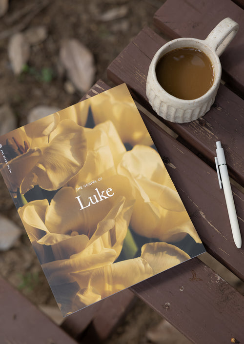 Luke Women's Reading Guide