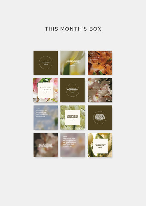 Annual Scripture Card Set Subscription