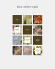 Annual Scripture Card Set Subscription