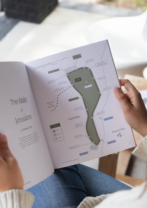 Nehemiah: Rebuild and Renew Women's Reading Guide