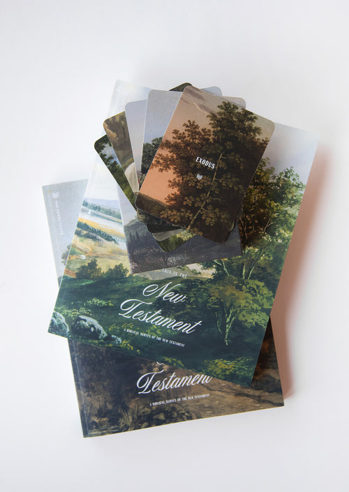 The Story of Scripture Experience Bundle
