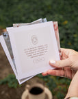Revelation Scripture Card Set